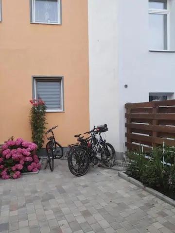 Thamy'S Homestay 2 Ρόστοκ Εξωτερικό φωτογραφία